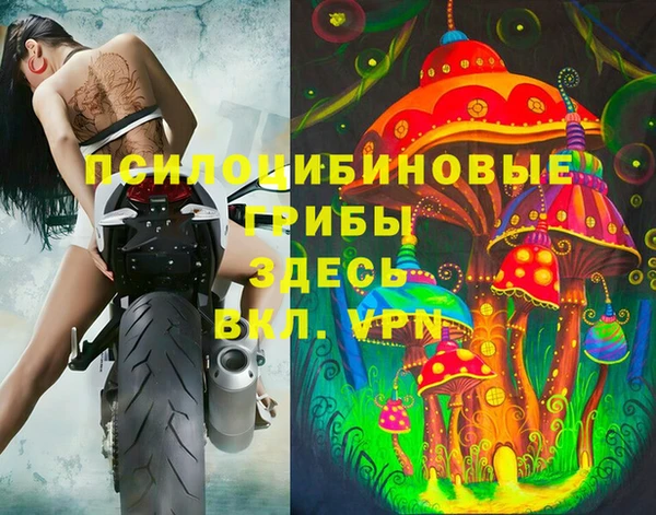 a pvp Беломорск