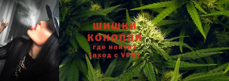 Бошки Шишки THC 21%  Зея 